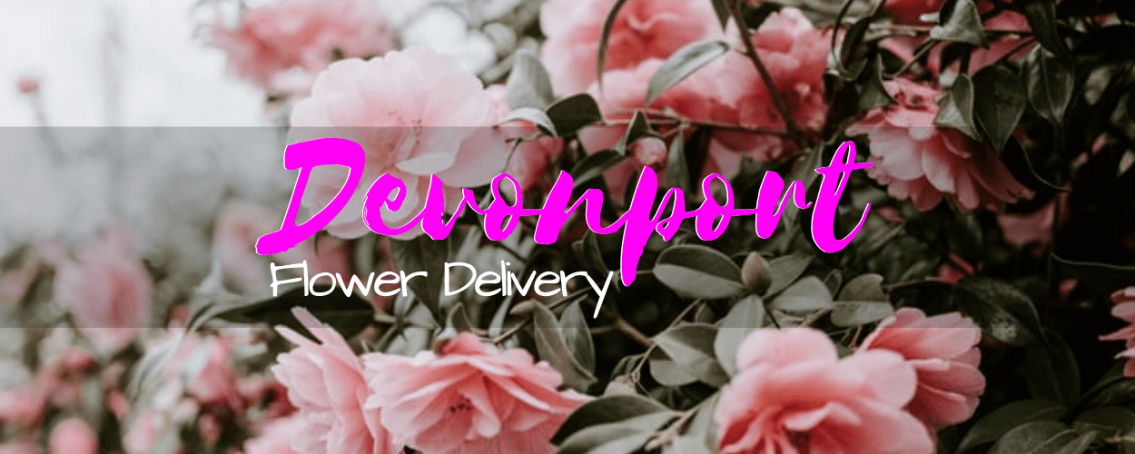 Flower Delivery Devonport