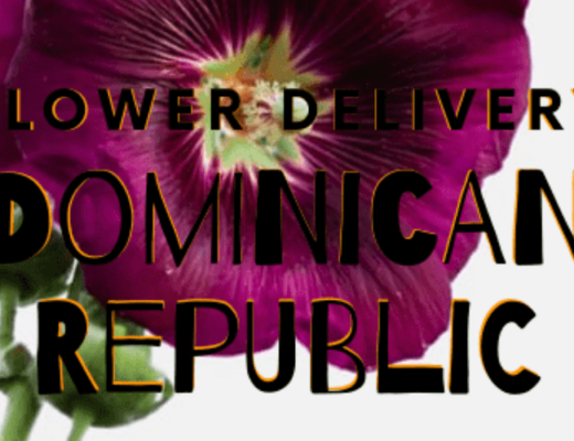 The 7 Best Options for Flower Delivery in Dominican Republic