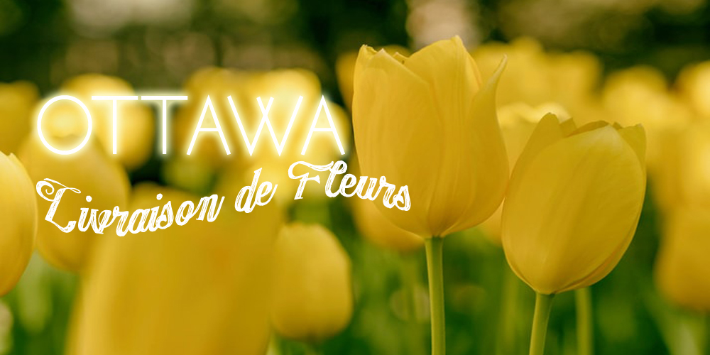 Meilleurs Livraison de Fleurs Ottawa