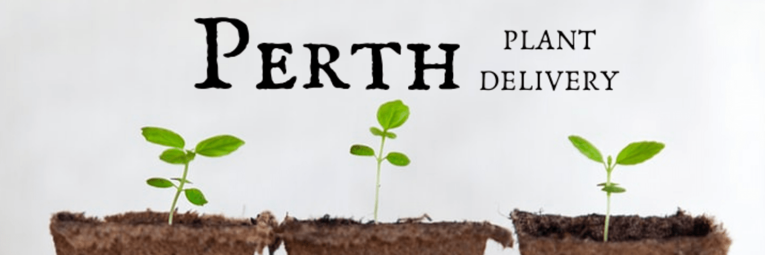 Plant Delivery Perth