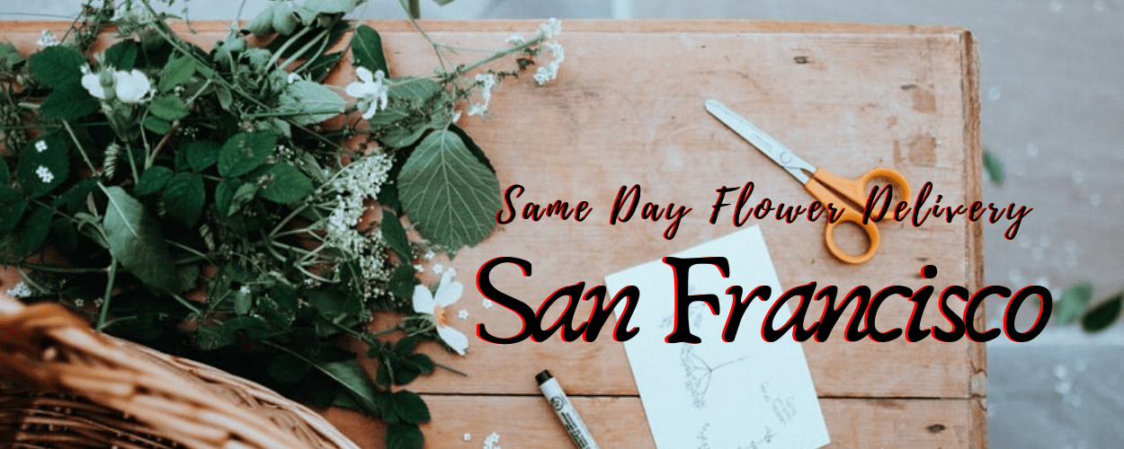 Same Day Flower Delivery San Francisco