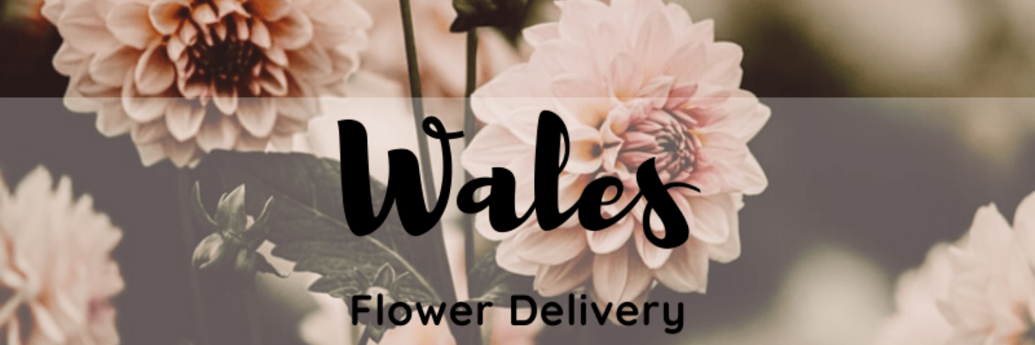 Flower Delivery Wales