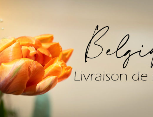 6 Meilleurs Options Pour la Livraison de Fleurs en Belgique