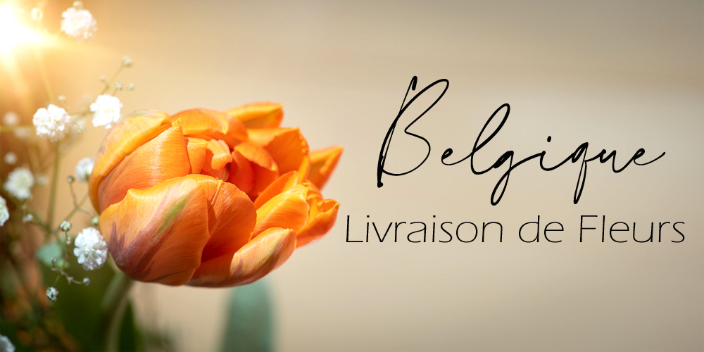 Meilleurs Livraison de Fleurs Belgique