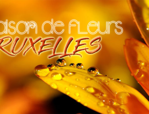 Les 5 Meilleurs Choix de Livraison de Bouquet à Bruxelles