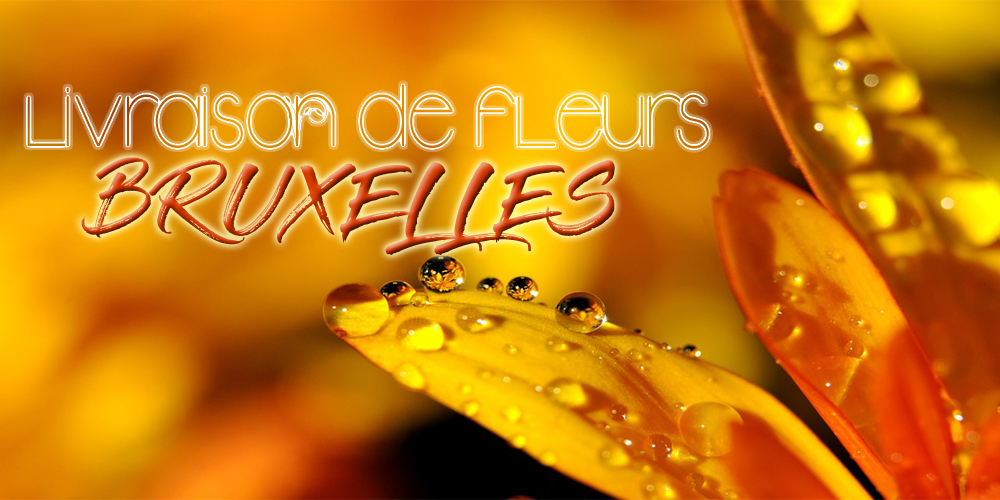 Meilleurs Livraison de Fleurs Bruxelles
