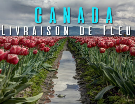 Les 5 Meilleures Enseignes de Livraison de Fleurs au Canada