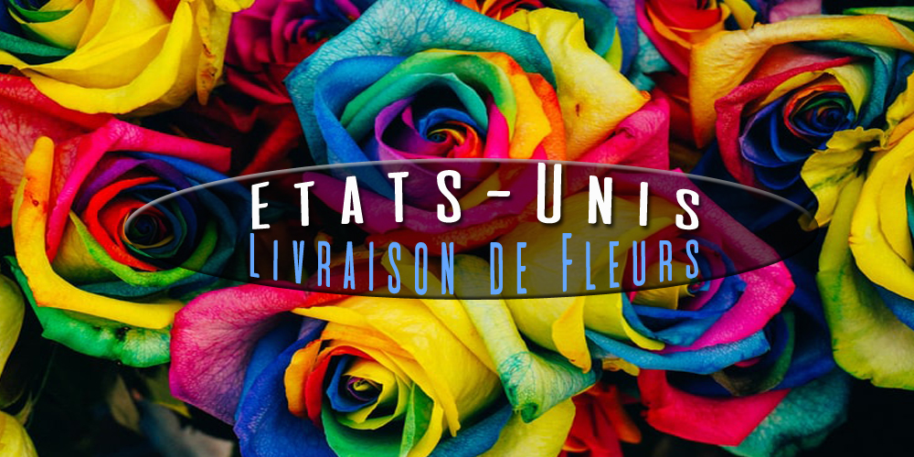 Meilleures Livraison de Fleurs Etats-Unis