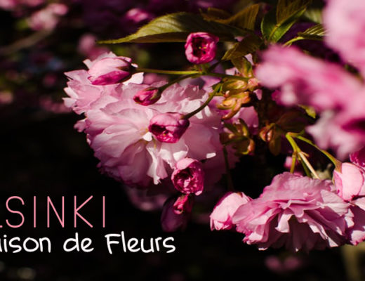 Les 6 Meilleures Enseignes de Livraison de Fleurs à Helsinki