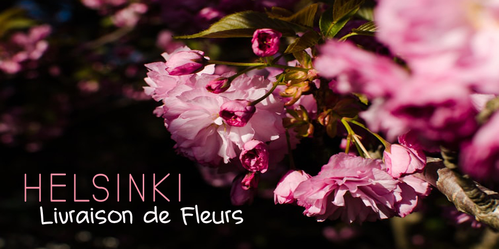 Meilleures Livraison de Fleurs Helsinki
