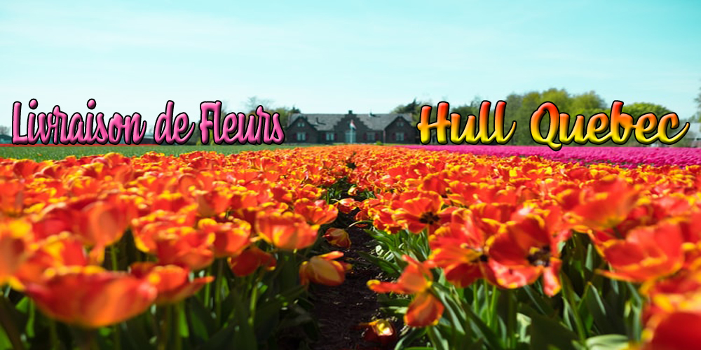 Meilleures Livraison de Fleurs Hull Quebec