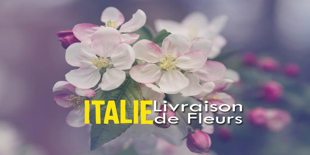 Meilleurs Livraison de Fleurs Italie