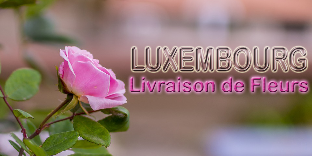 Livraison de Fleurs Luxembourg