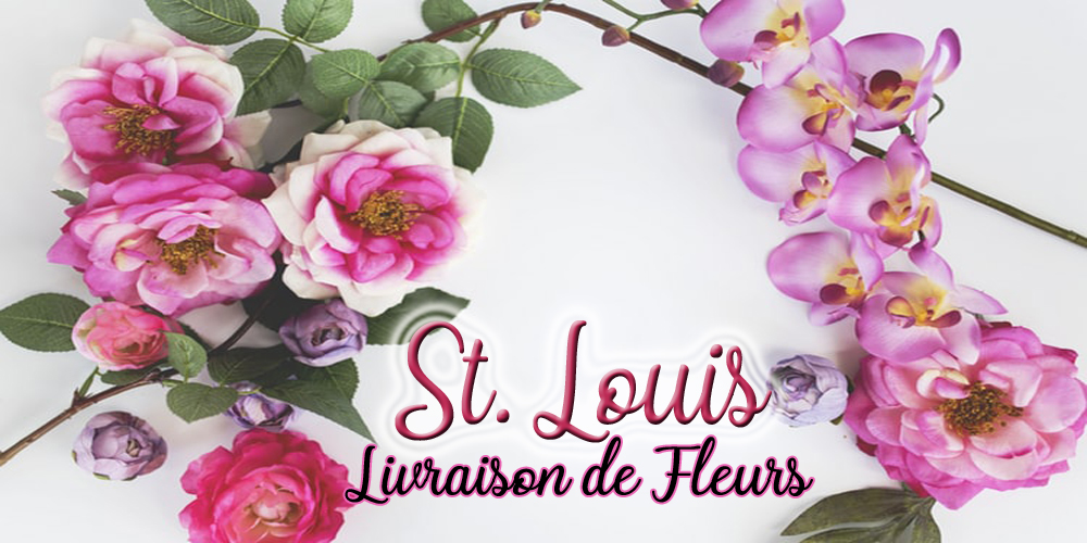 Meilleures Livraison de Fleurs St Louis