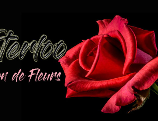 6 Meilleurs Livraison de Fleurs à Waterloo