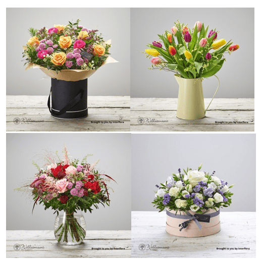 WILLIAMSON’S MY FLORIST