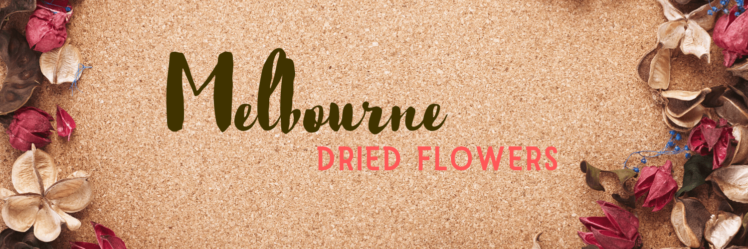 Best Dried Flowers Melbourne