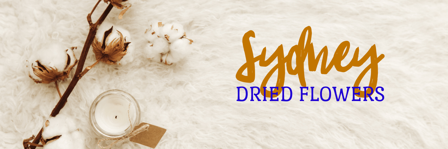 Best Dried Flowers Sydney