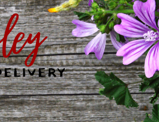 The 7 Best Options for Flower Delivery in Barnsley