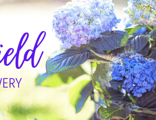 The 6 Best Options for Flower Delivery in Wakefield