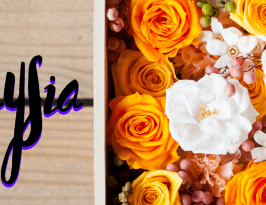 The 6 Best Options for Preserved Flower in Malaysia