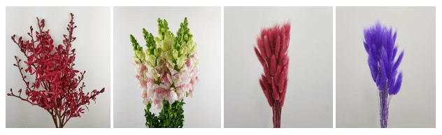 FLORISTIKA - Best Dried Flowers in Malaysia