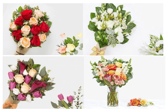 German Blooms - Best Flower Delivery in Hamburg