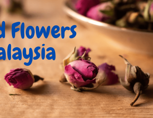 The 5 Best Options for Dried Flowers in Malaysia