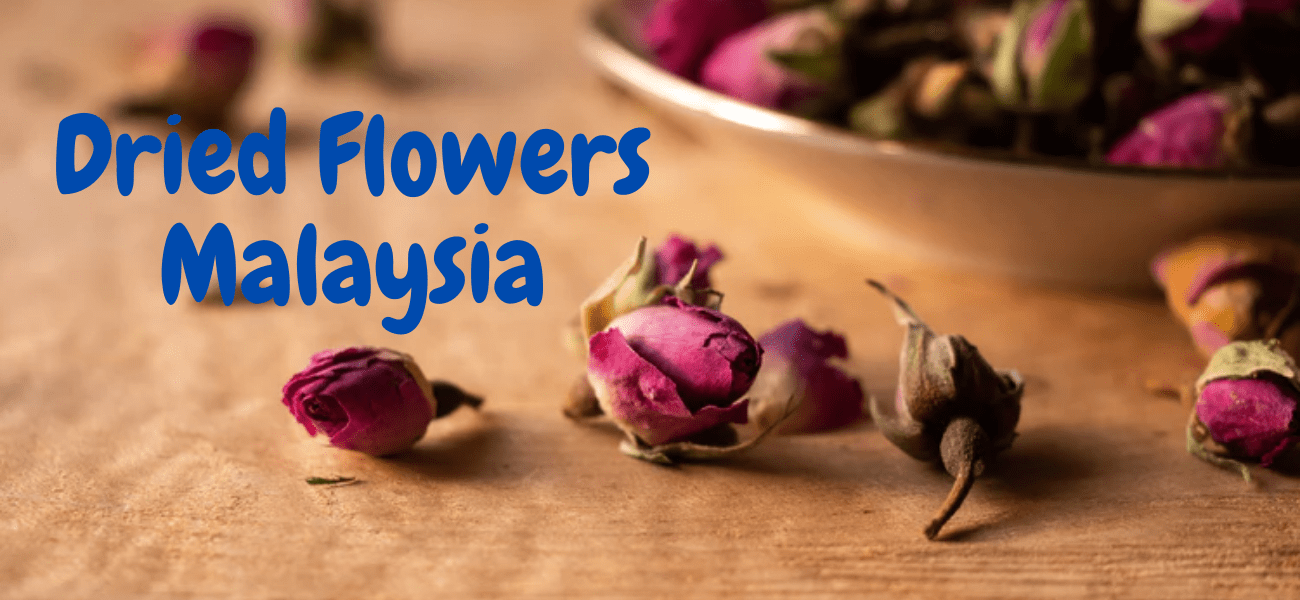 Best Dried Flowers in Malaysia