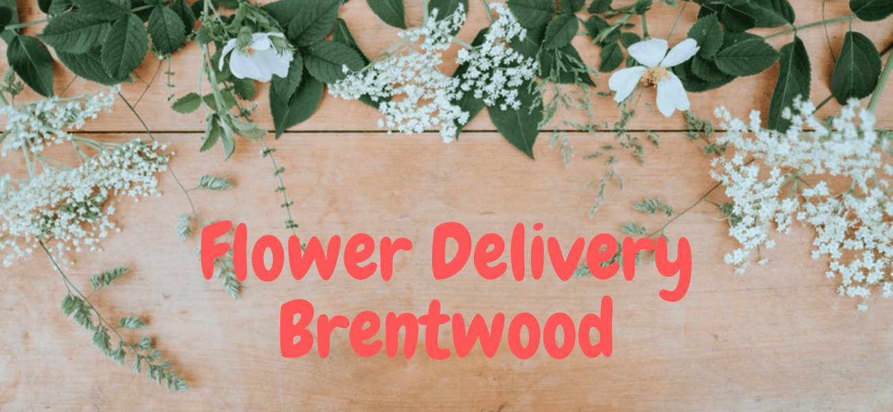 Best Flower Delivery in Brentwood