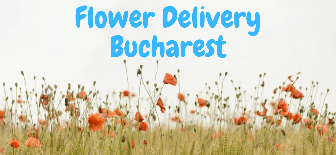Best Flower Delivery in Bucharest