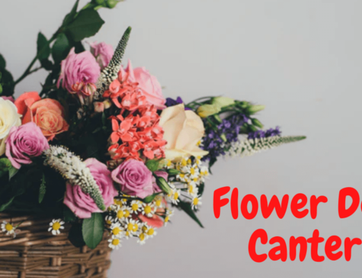 The 7 Best Options for Flower Delivery in Canterbury