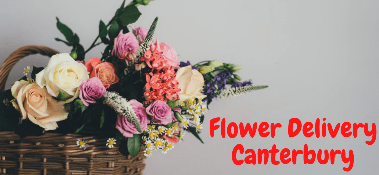 Best Flower Delivery in Canterbury