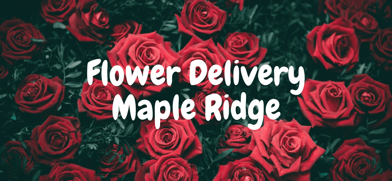 Best Flower Delivery in Maple Ridge