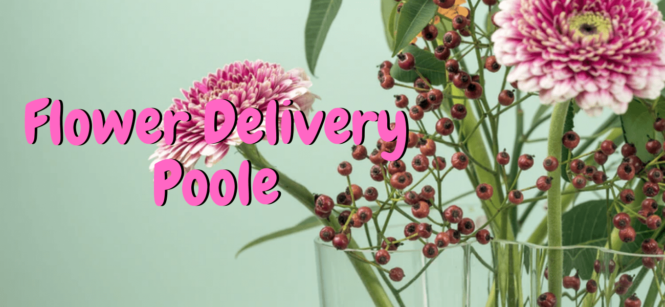 Best Flower Delivery in Poole