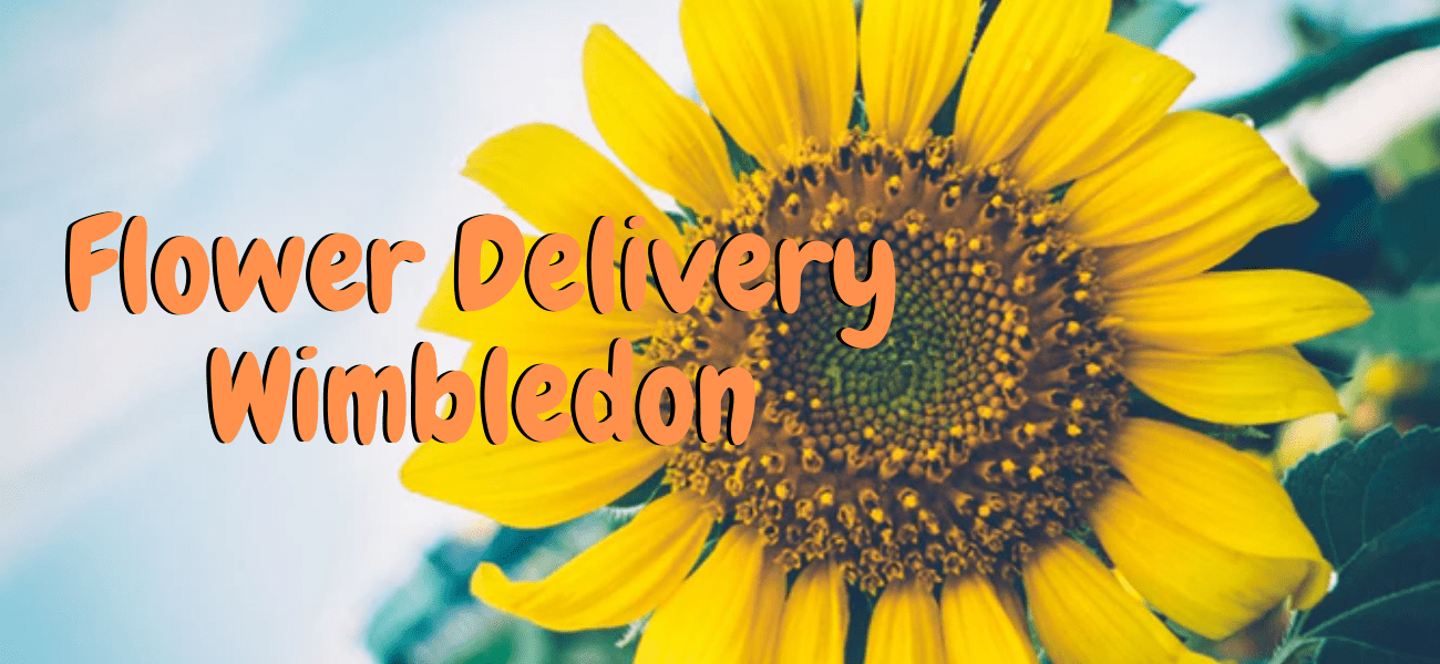 Best Flower Delivery in Wimbledon