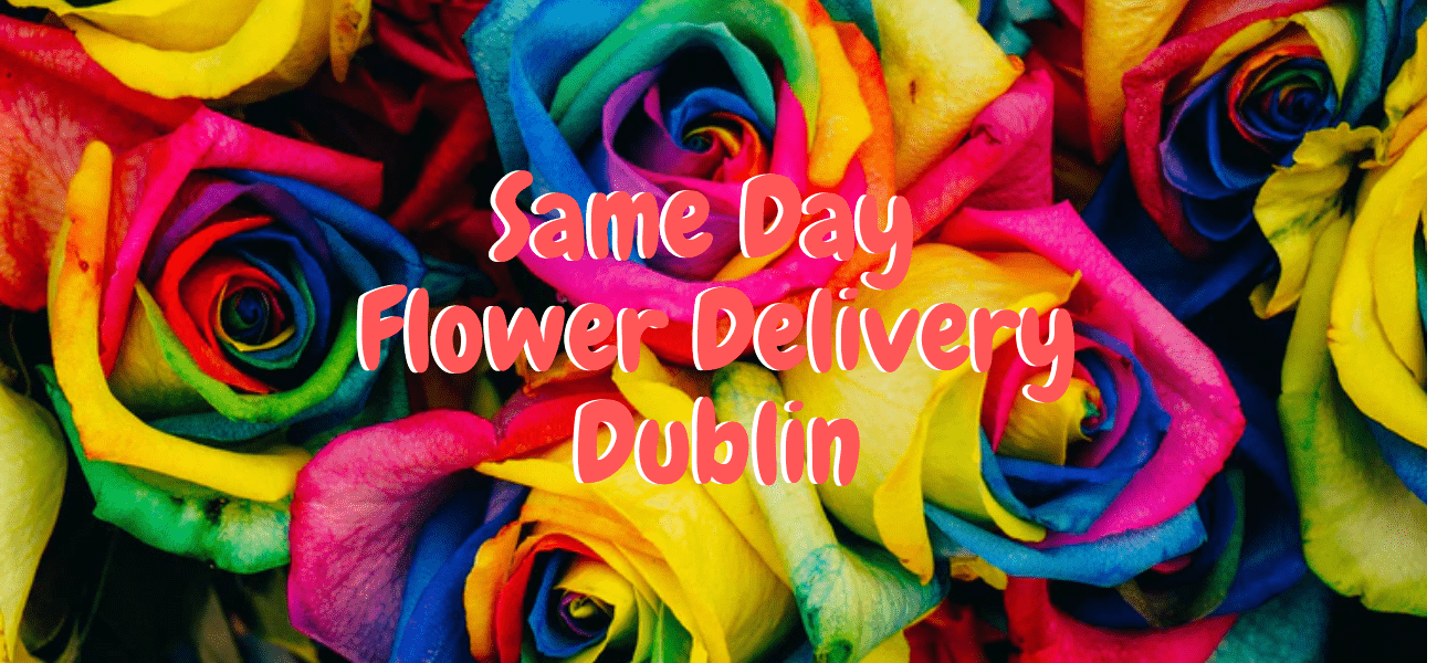 Best Same Day Flower Delivery in Dublin