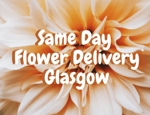 The 8 Best Options for Same Day Flower Delivery in Glasgow