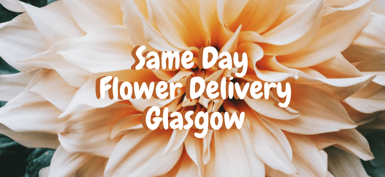Best Same Day Flower Delivery in Glasgow