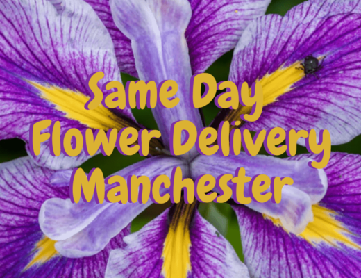 9 Best Options for Same Day Flower Delivery in Manchester