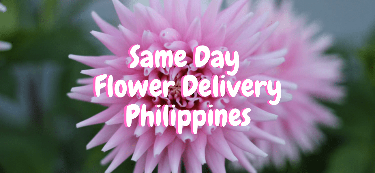 Best Same Day Flower Delivery in Philippines