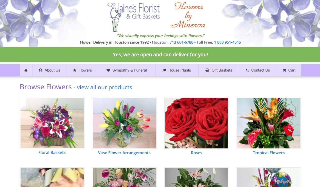 Elaine's Florist & Gift Baskets' Homepage