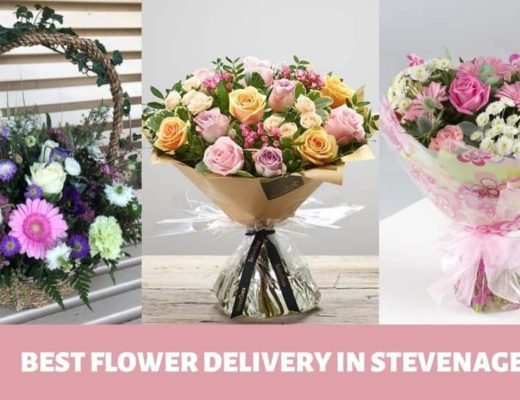Best Flower Delivery in Stevenage