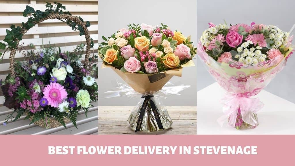 Best Flower Delivery in Stevenage