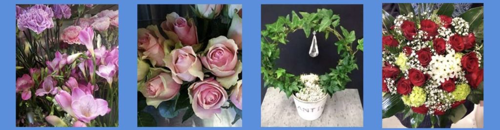 Kukkahuone Meritorni's Flowers Showcase