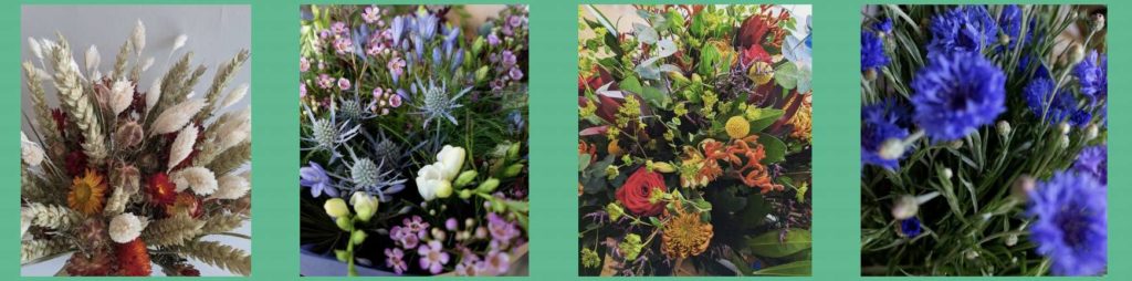 The Cove's Flowers