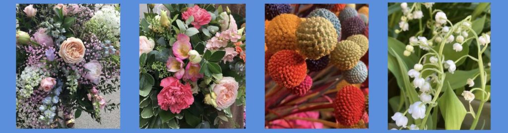 Form & Flora Oy's Flower Showcase