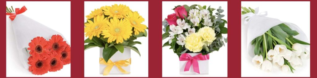 Easy Flowers' Showcase