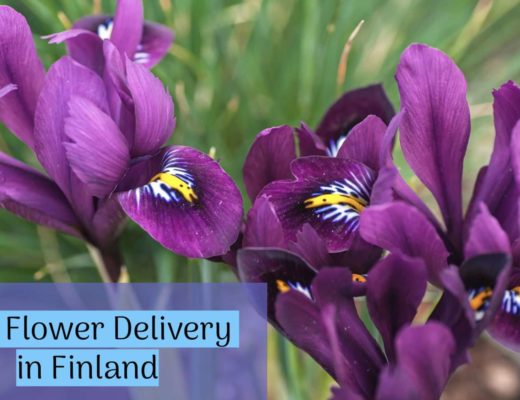 Best Flower Delivery in Finland