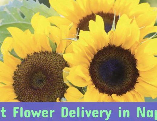 The 5 Best Shops for Flower Delivery in Napier